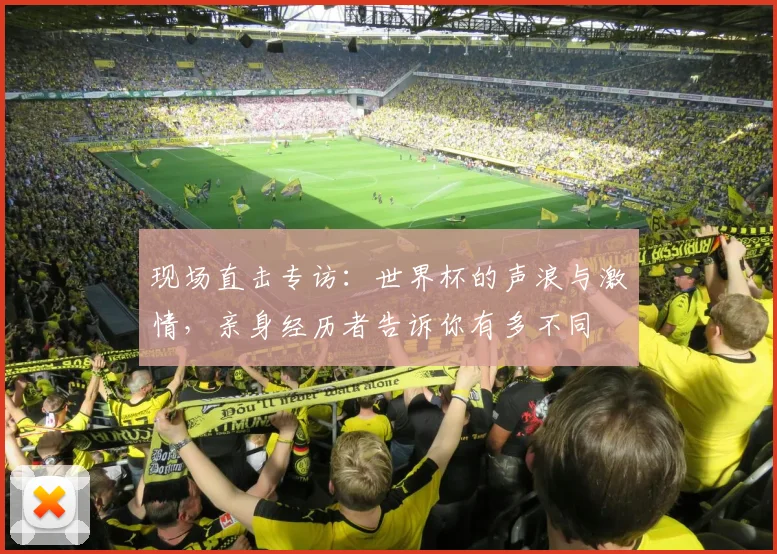 现场直击专访：世界杯的声浪与激情，亲身经历者告诉你有多不同
